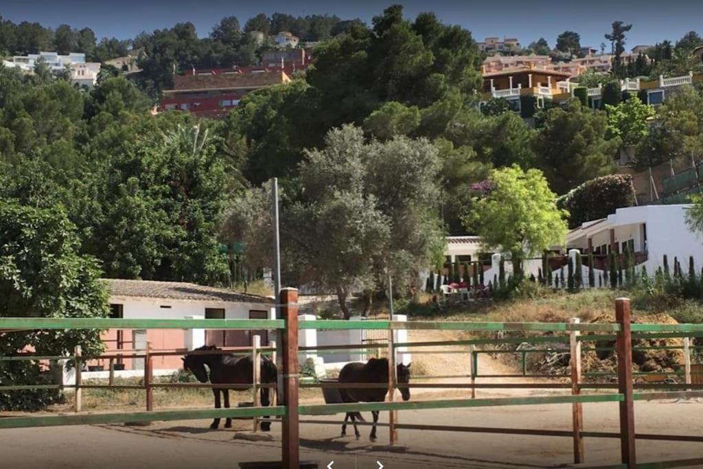 ペドレゲールDenia - Golf La Sella "Refugio Marino"アパートメント エクステリア 写真