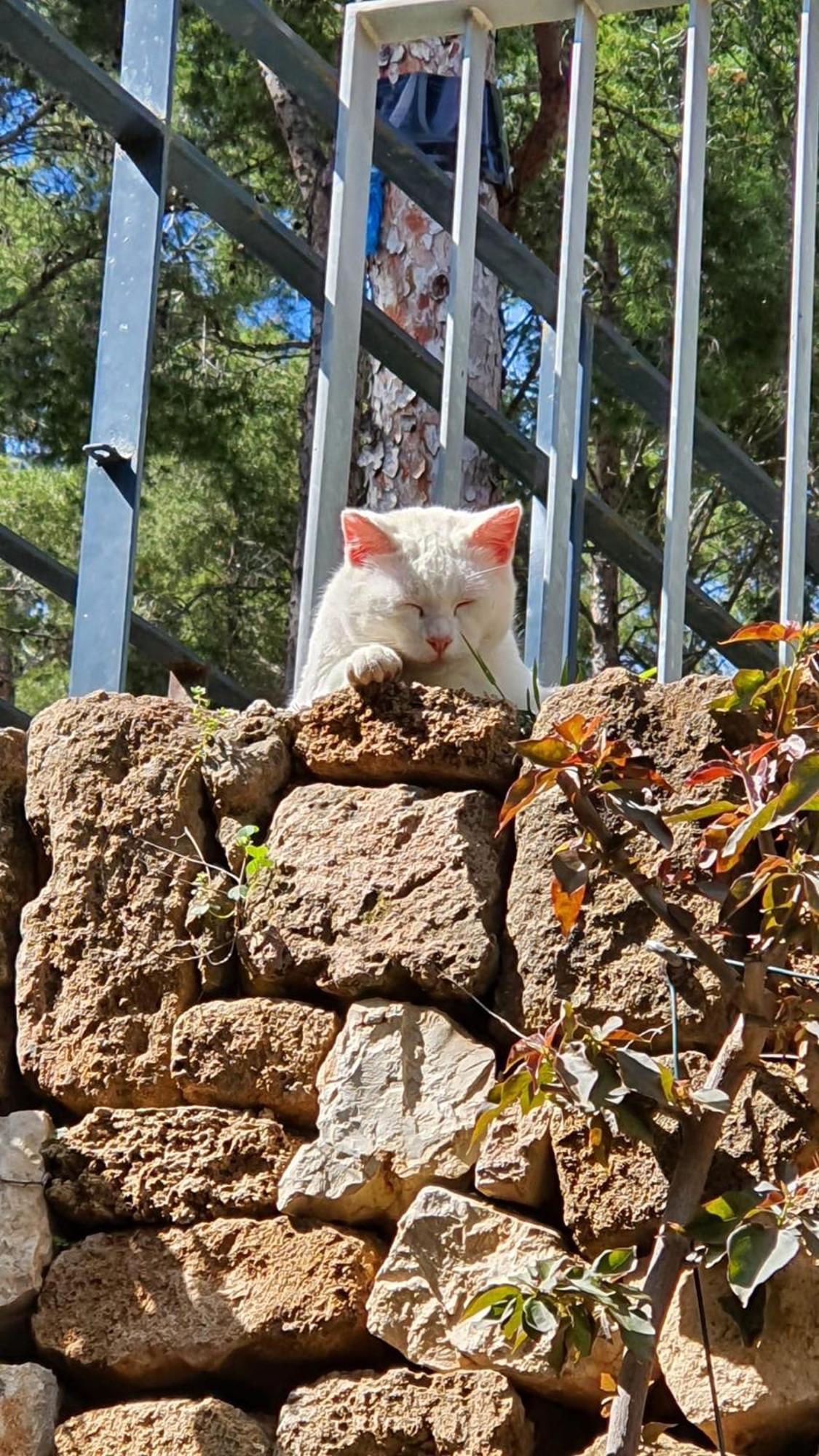 ペドレゲールDenia - Golf La Sella "Refugio Marino"アパートメント エクステリア 写真